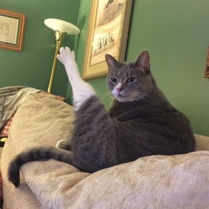 Meet your Posher, Karla